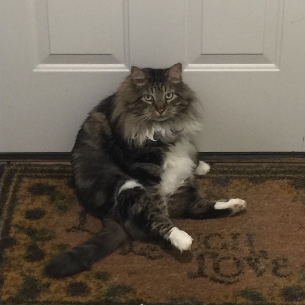 Meet your Posher, Eric